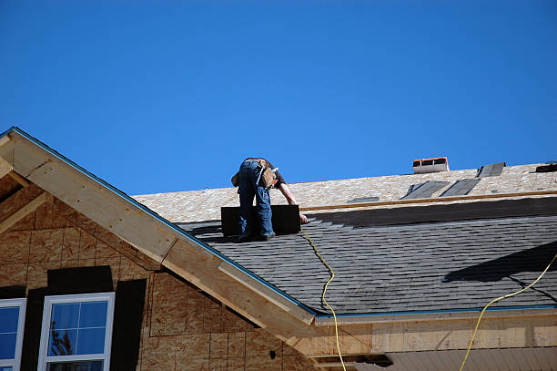 Best Roof Moss and Algae Removal  in North Highlands, CA